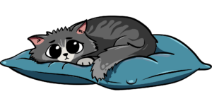 al ir a dormir desconectamos de la realidad pero nos conectamos con nuestro mundo interior